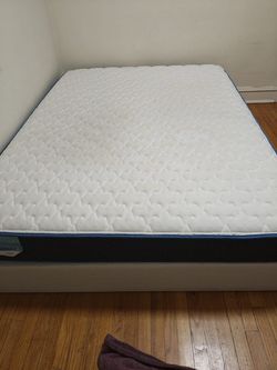 FREE MATTRESS