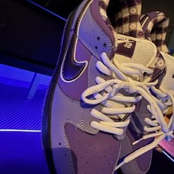 Nike SB Dunk Low Concepts Purple Lobster Size 8.5