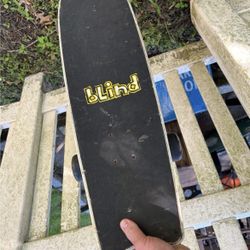 Long Board Skate Board 