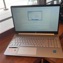 HP Laptop 15 dy5000 Series