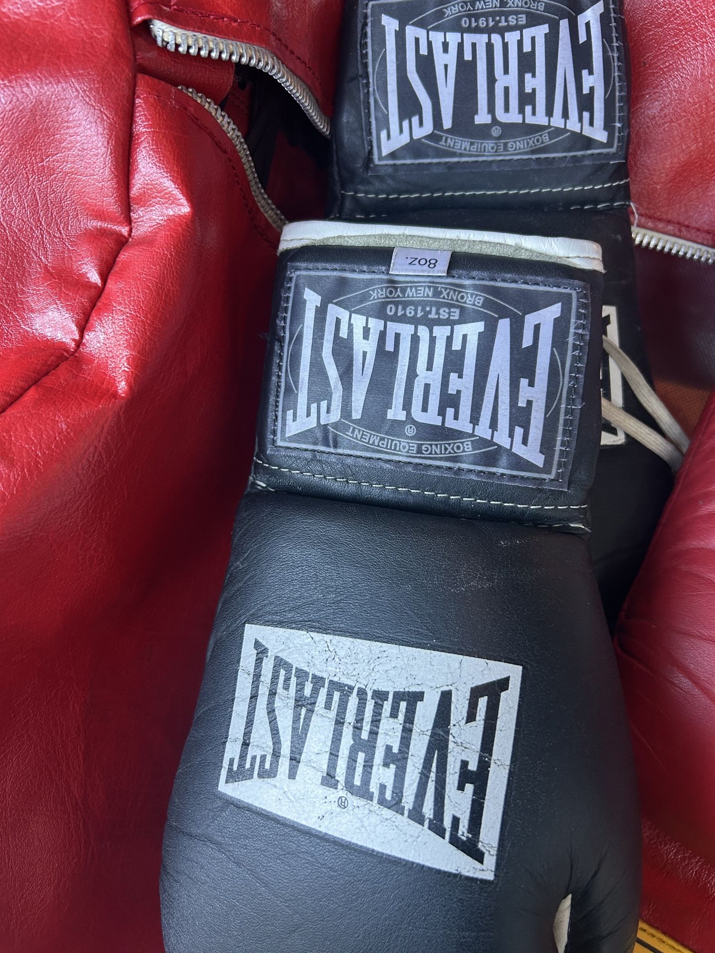 Everlast Pro Fight 8 Oz Gloves for Sale in Phoenix, AZ - OfferUp