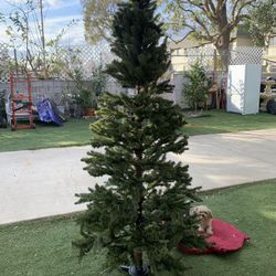 Arbol 