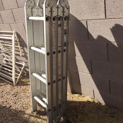 Werner Collapsible Ladder 80$