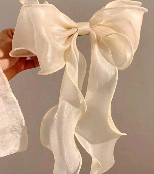 Mesh Ribbon Bow With Curly Tail hair clip