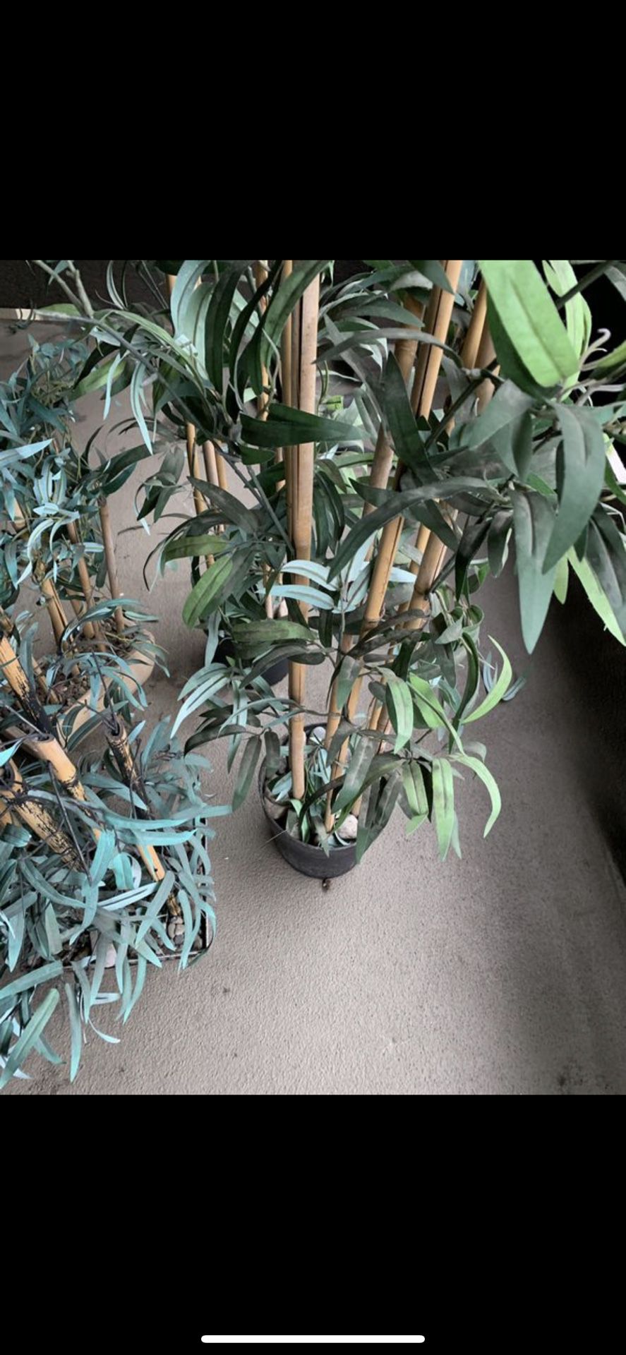 4 ikea plants &2 small plants