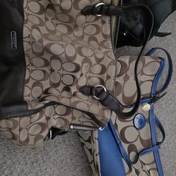 Coach Purses