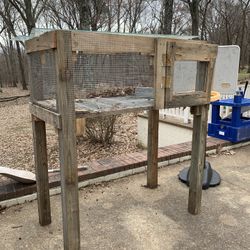 Chicken/hen Starter For Large Chicks 