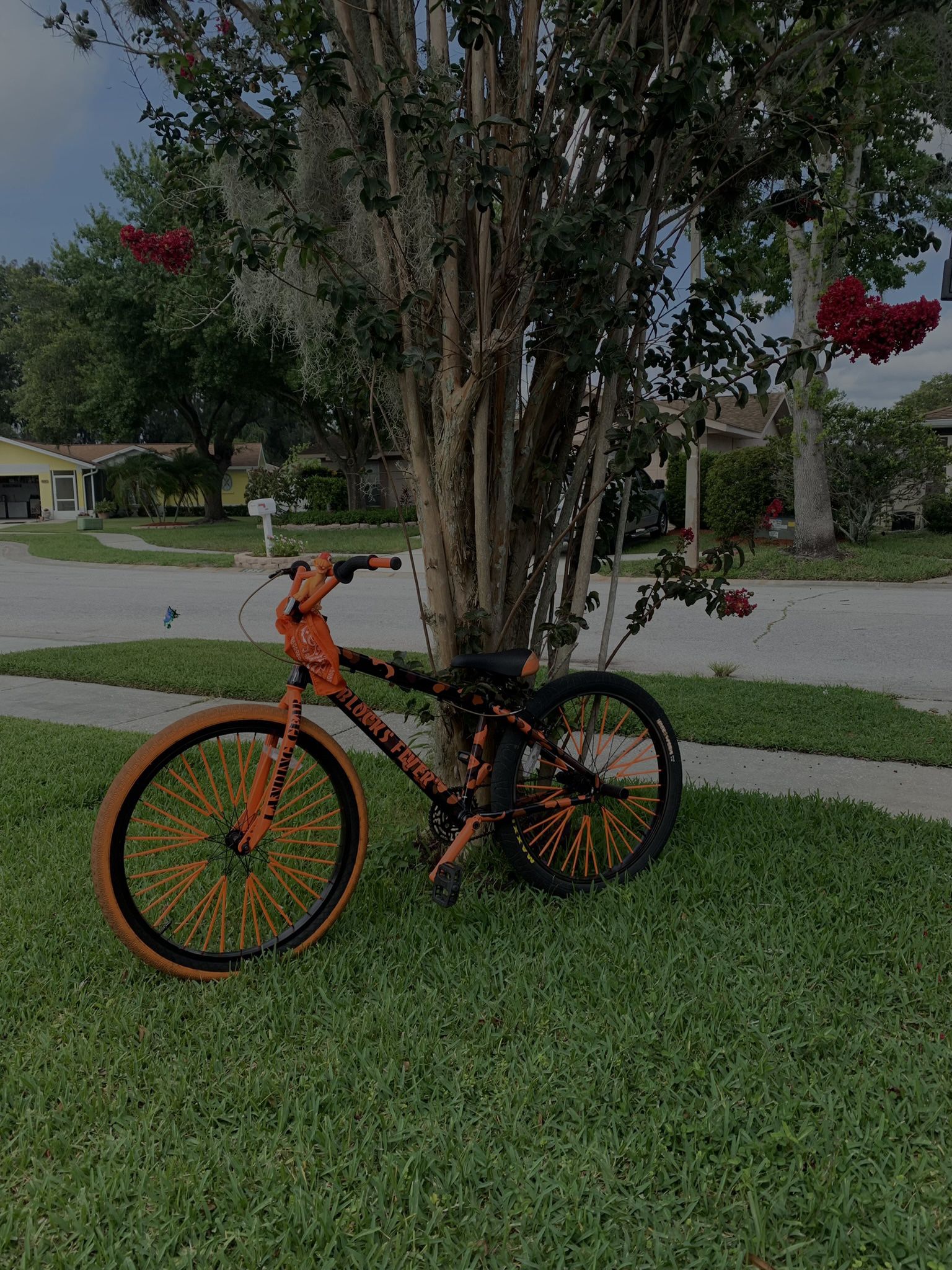 se bike orange camo blocks