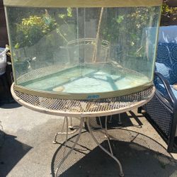 Fish Tank $50.00