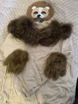 Lion costume