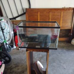 Fish Tank 