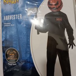 Halloween Costume 