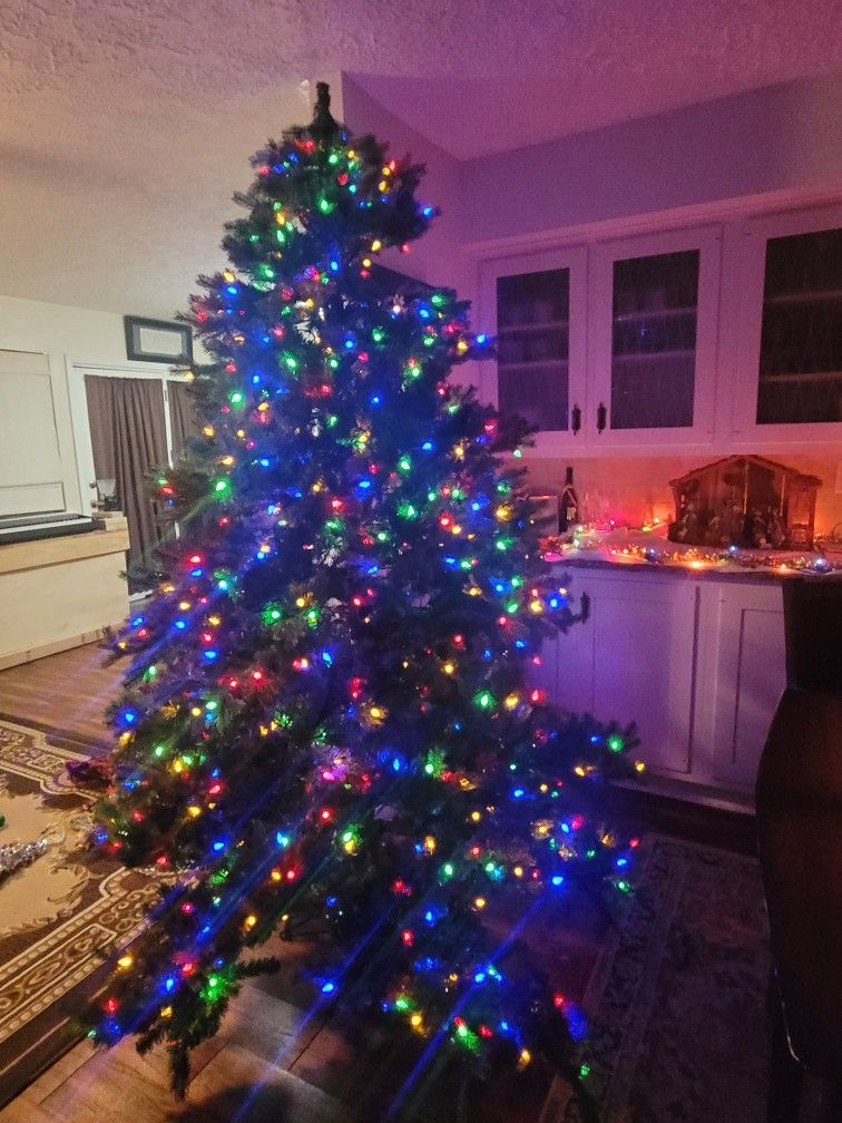 7.5ft Norway Spruce Christmas Tree