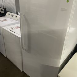 Stand Up Freezer 