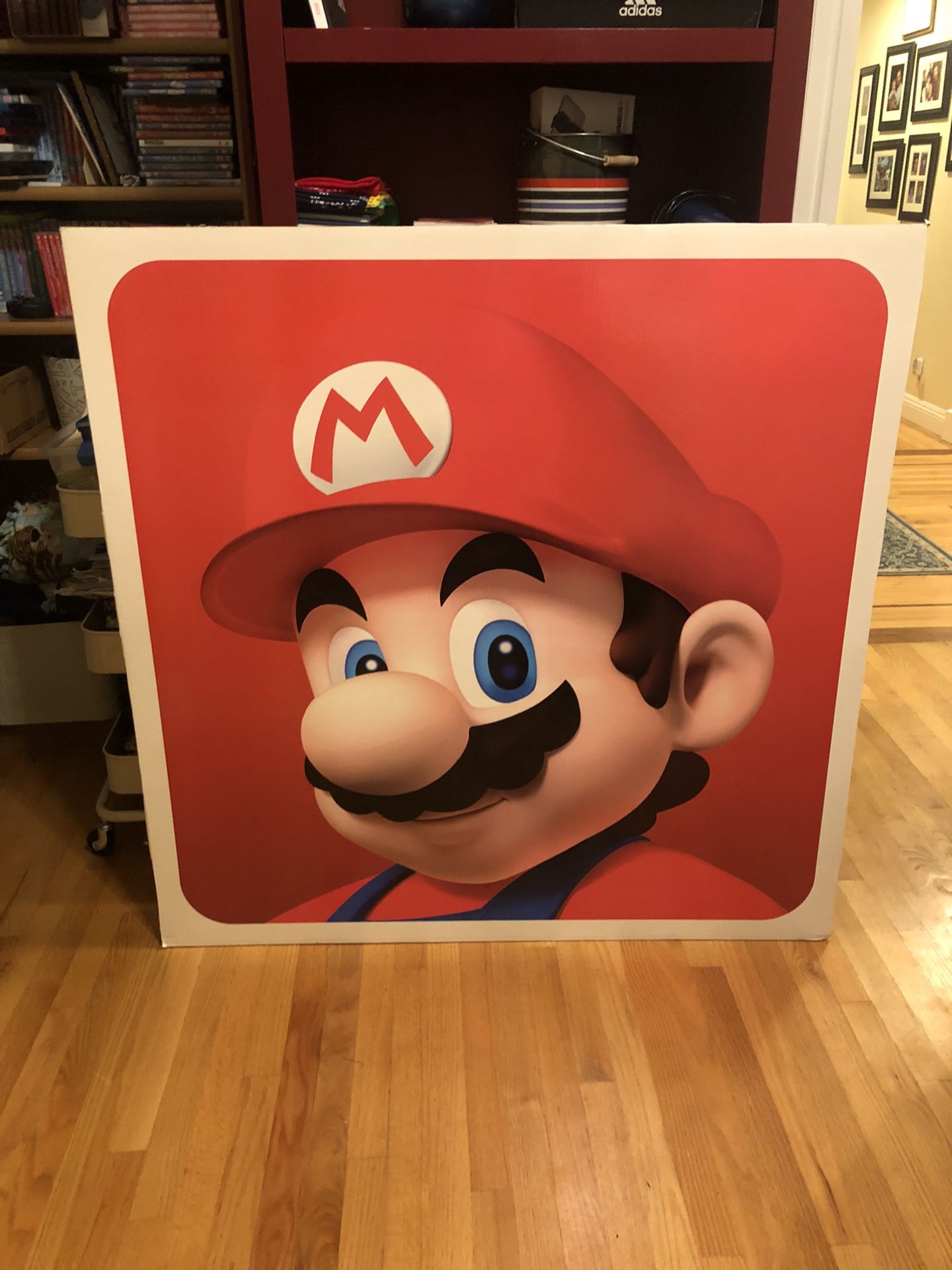Mario Display Picture