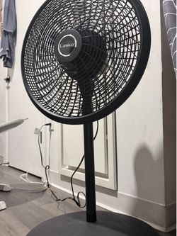 Lasko Oscillating Pedestal Fans with Adjustable Height, Timer, without Remote Control (1843) and 3 Speeds (1827)