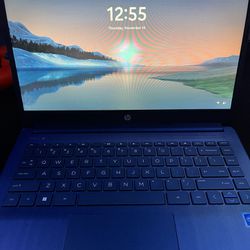 14” HP Laptop