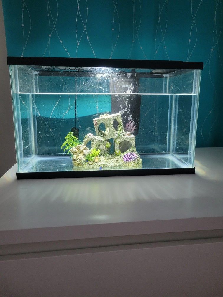 Fish Tank