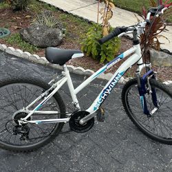 Schwinn Bicycle 24”