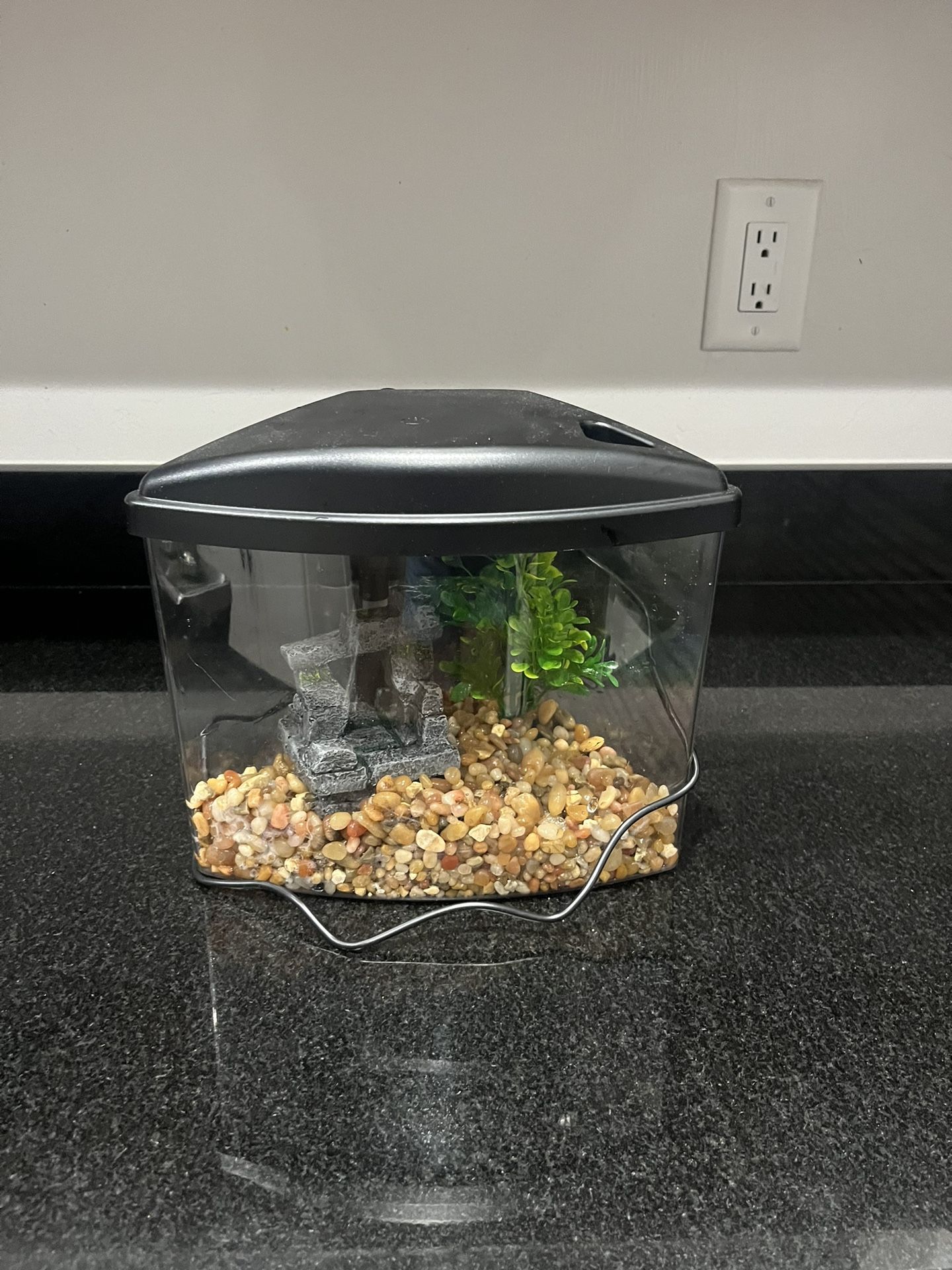 Fish Tank