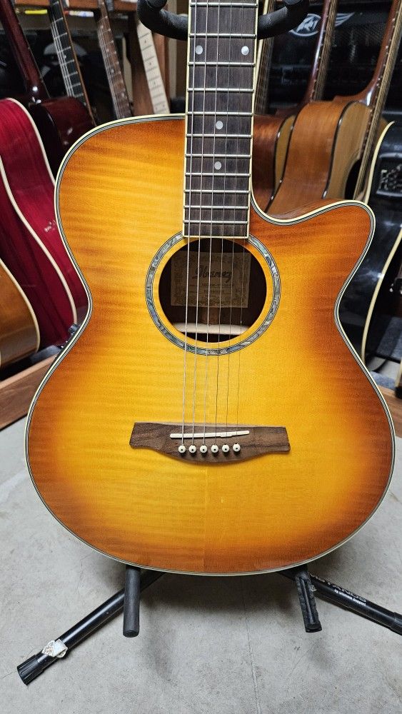 Ibanez AEG-20E Thinline Acoustic Electric Guitar