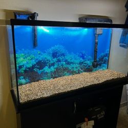 55 GALLON FISH TANK