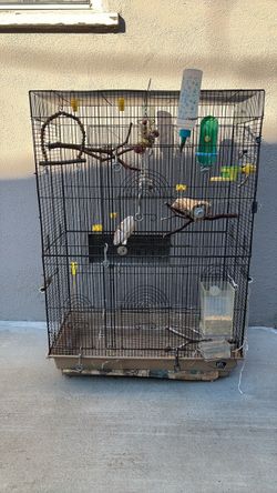 Bird cage