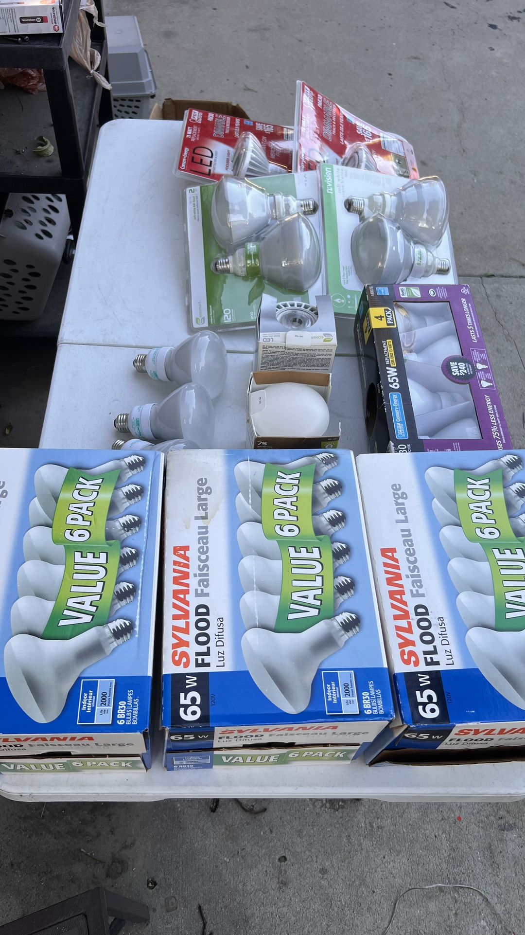 Bulbs Bundle 