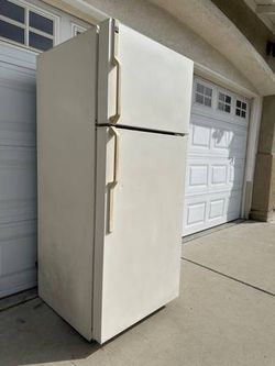 Large Size Refrigerator /Freezer