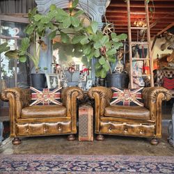 Vintage Cigar Brown Leather Chesterfield Chairs Kensington Tufted set!