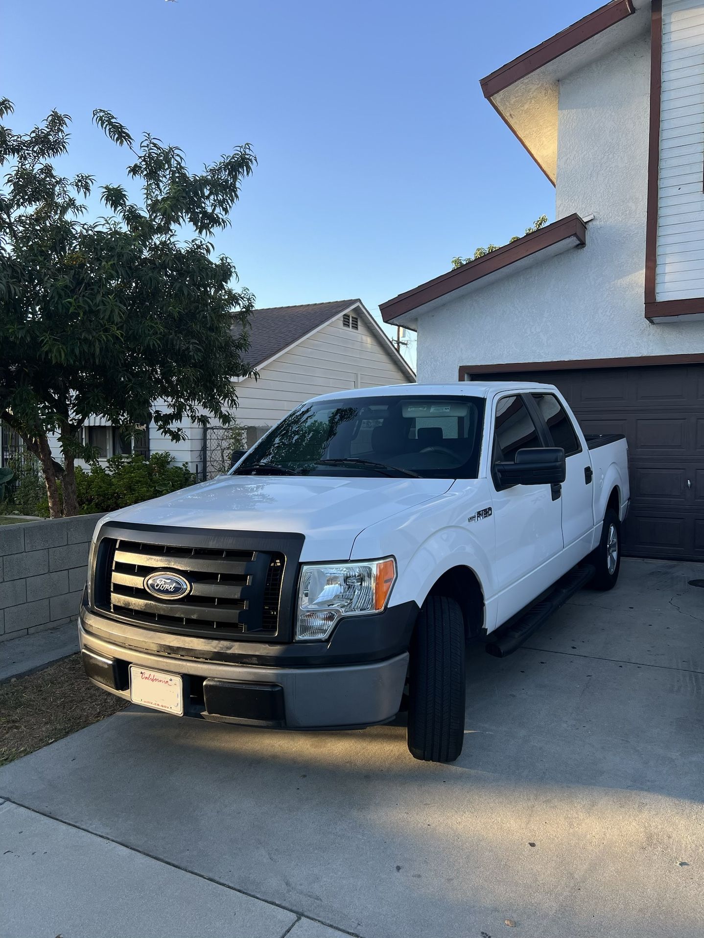 2009 Ford F-150