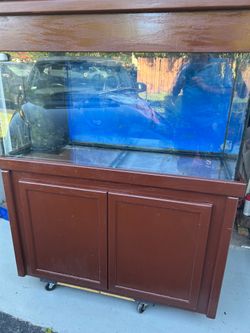 Fish tank