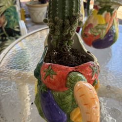 Castus 