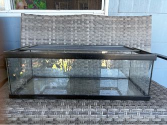 20 gallon long Terrarium mesh top