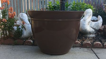 Very Large 22" x 17" Pot Planter. BROWN THICK PLASTIC. HIGH GLOSS. DENVER, 80209