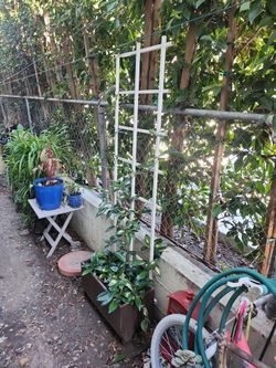 White Garden Trellis Plant Climbing Support