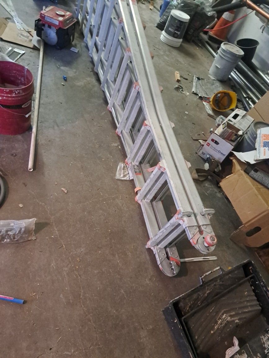 Little Giant Ladder 