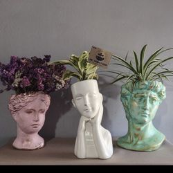 Planters