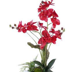 Orchid Arrangement Decor