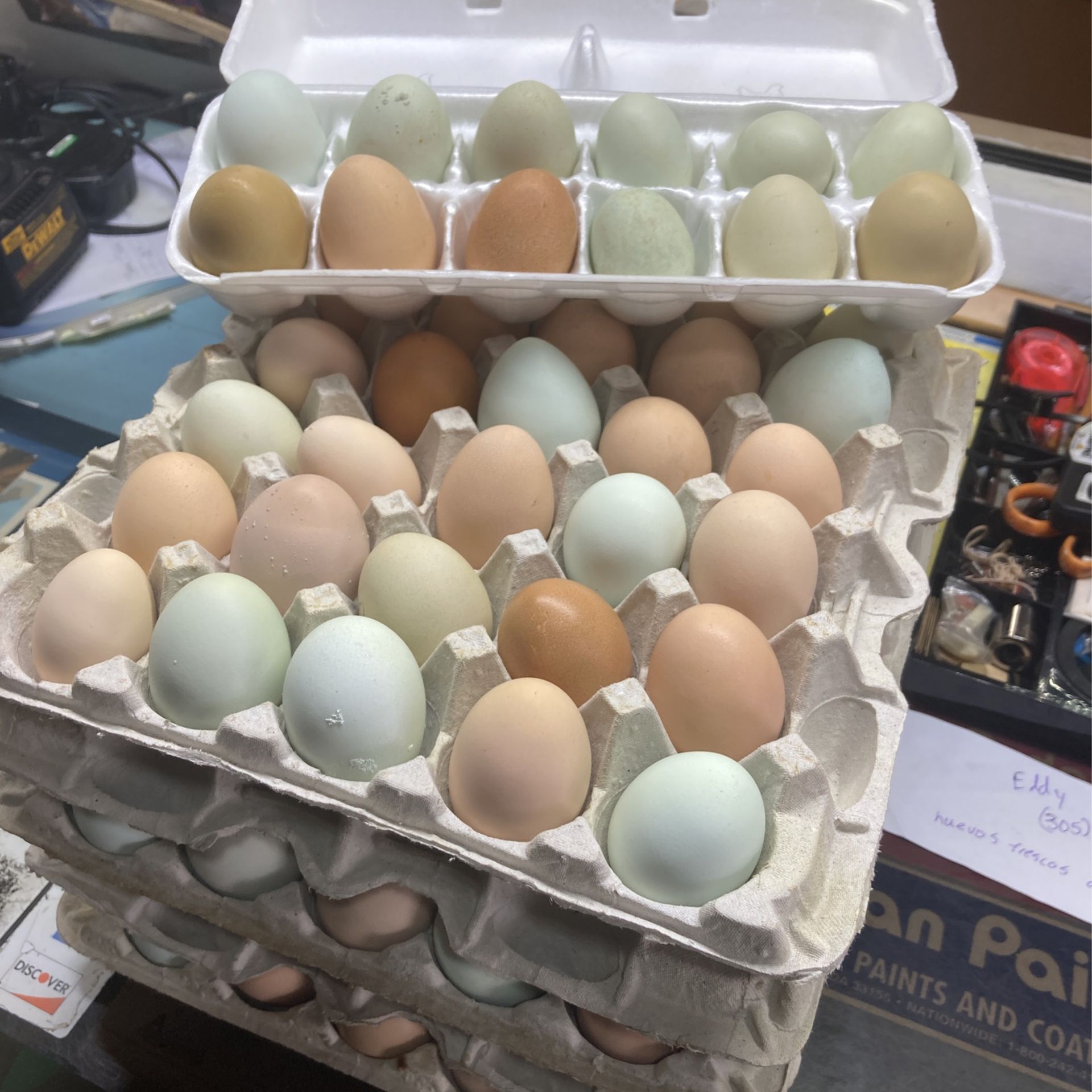 Huevos Fresco De Finca Organico 
