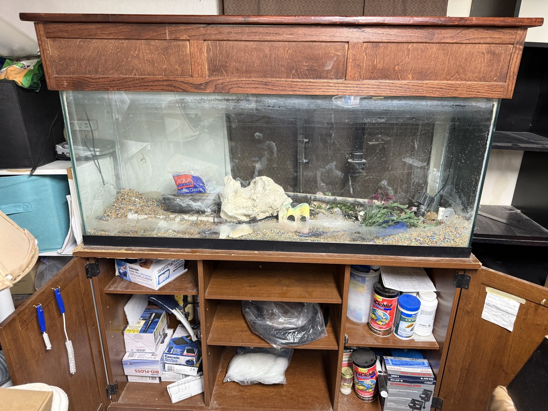 55 Gallon Fish Tank