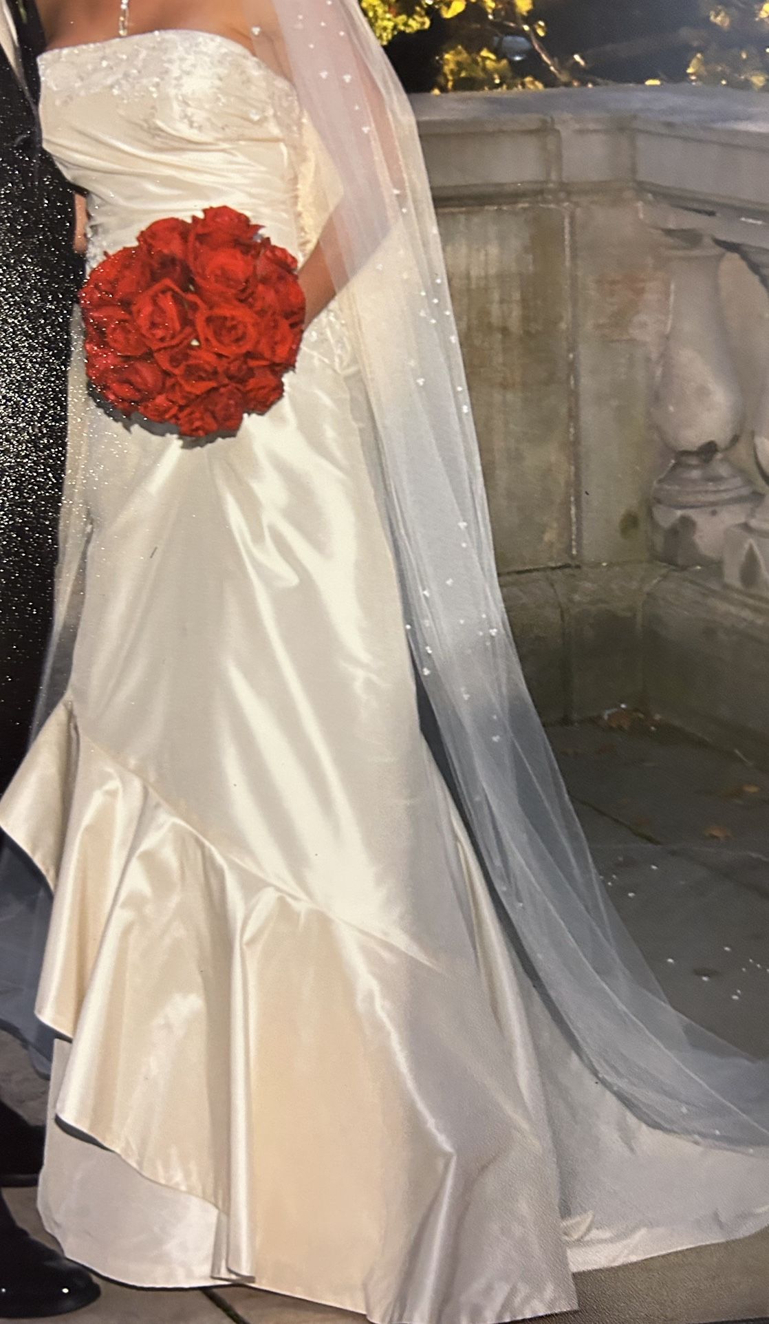 Demetrios Wedding Dress & Veil