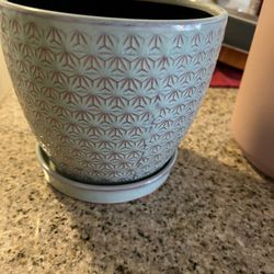 Plant Pots