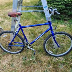 Schwinn Hybrid Bicycle Large