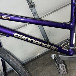 CANNONDALE M900 MTN BIKE
