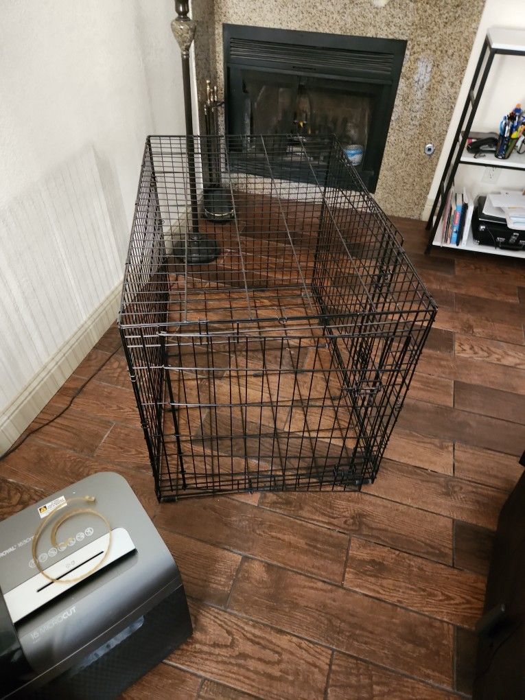 Big Dog Kennel 