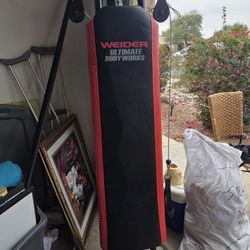 Weider Ultimate Body Works