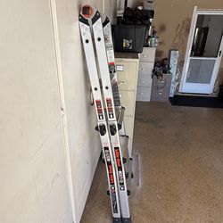 Ladder little giant M13