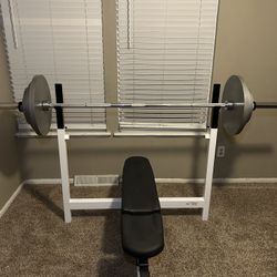 Weight Bench + Olympic Bar + Weight Plates (Excellent Condition!