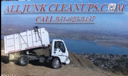 I hual and clean ups